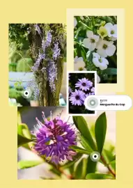 Catalogue Truffaut page 10