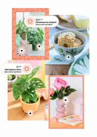 Catalogue Truffaut page 12