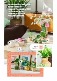 Catalogue Truffaut page 15