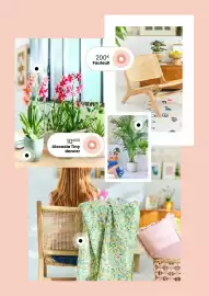 Catalogue Truffaut page 16