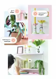 Catalogue Truffaut page 20