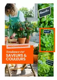 Catalogue Truffaut page 23