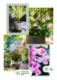 Catalogue Truffaut page 6