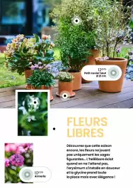 Catalogue Truffaut page 9