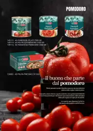 Volantino Centro Cash Pagina 13