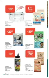 Tom&Co folder Pagina 2