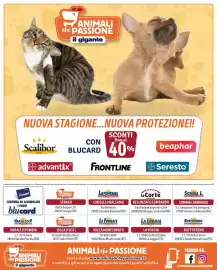 Volantino Il Gigante Pagina 8