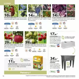 Catalogue Bricorama page 54