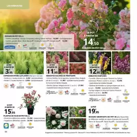 Catalogue Bricorama page 56