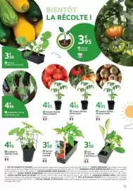 Catalogue Mr Bricolage page 11