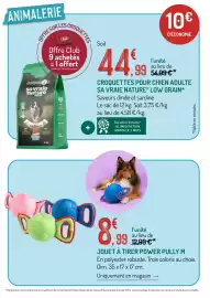 Catalogue Botanic page 10