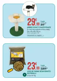 Catalogue Botanic page 11