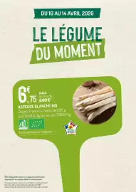 Catalogue Botanic page 13