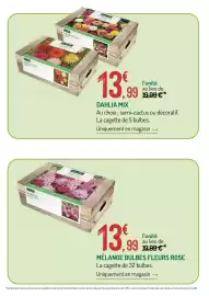 Catalogue Botanic page 6