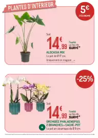 Catalogue Botanic page 9