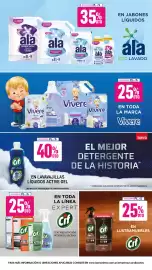 Catálogo La Anonima Página 31