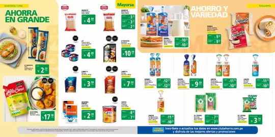 Catálogo Mayorsa Página 3