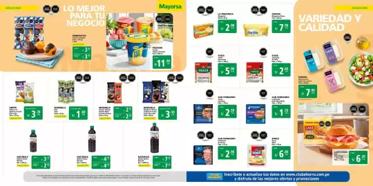 Catálogo Mayorsa Página 4
