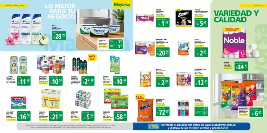 Catálogo Mayorsa Página 8
