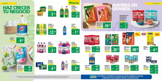 Catálogo Mayorsa Página 9