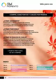 Catálogo Pigmento Página 2