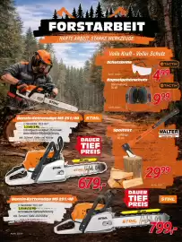 Zgonc Flugblatt Seite 13