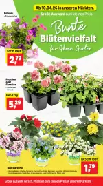 Thomas Philipps Prospekt woche 16 Seite 6