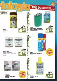 Volantino Zoomiguana Pagina 11