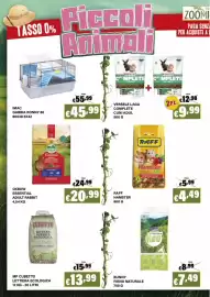Volantino Zoomiguana Pagina 8