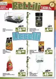 Volantino Zoomiguana Pagina 9