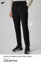 4F gazetka tydzień 15 Strona 11