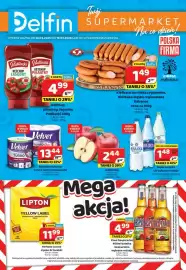 Delfin gazetka Strona 1