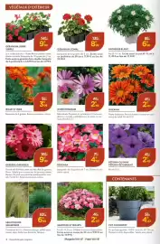 Catalogue Point Vert page 4