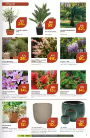 Catalogue Point Vert page 5