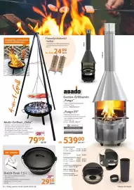 Selgros Prospekt Seite 10