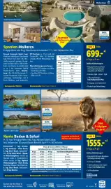 Lidl Reisen Prospekt Seite 17