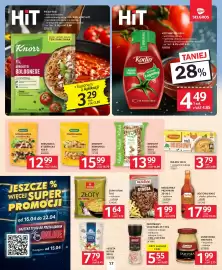 Selgros gazetka Strona 17