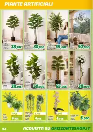 Volantino Orizzonte Pagina 14