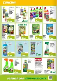 Volantino Orizzonte Pagina 22