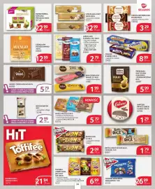 Selgros gazetka Strona 24