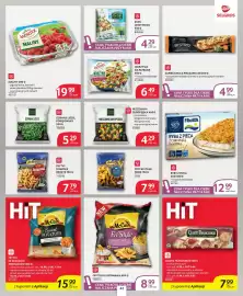 Selgros gazetka Strona 36