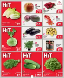 Selgros gazetka Strona 39