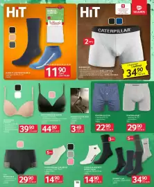 Selgros gazetka Strona 21