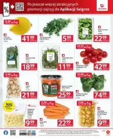 Selgros gazetka Strona 5