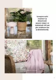 Europris kundeavis Side 5