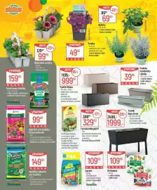 Globus leták Strana 2