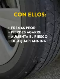 Folleto Rodi Página 3