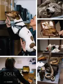 Das Futterhaus Prospekt Seite 10