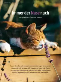 Das Futterhaus Prospekt Seite 16