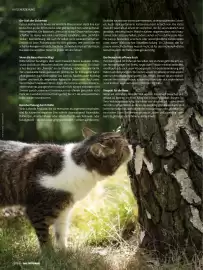 Das Futterhaus Prospekt Seite 18